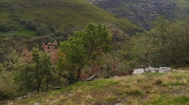 Orense - Vilariño de Conso - 200m2