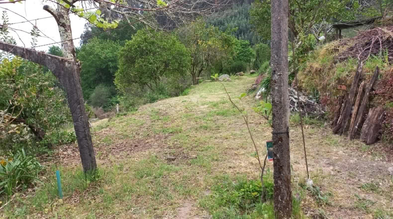 Pontevedra - A Caniza - 100m2