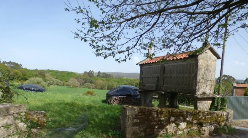 Pontevedra - Forcarei - 700m2