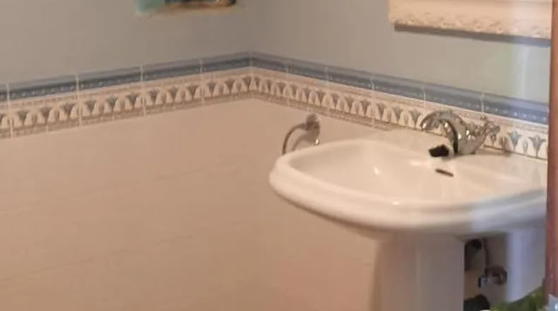 Pontevedra - Santiago de Covelo - 600m2