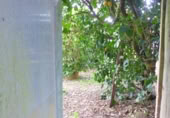 Casa de poble en venda a Gomesende ref.: TR406823 foto