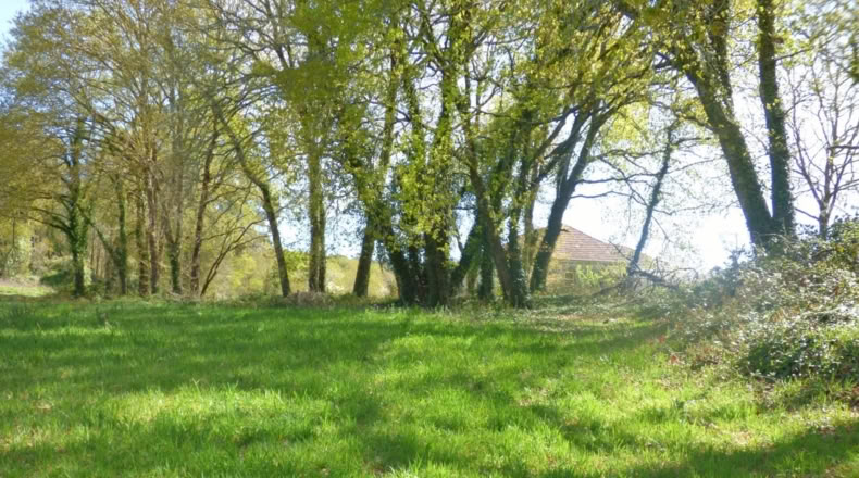 Orense - Gomesende - 1000m2