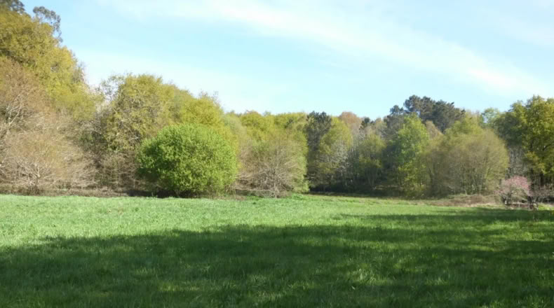 Orense - Gomesende - 1000m2
