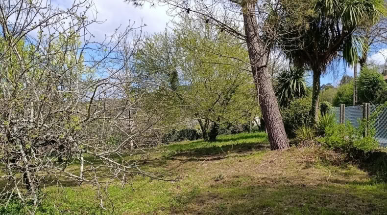 Pontevedra - Vila de Cruces - 1779m2