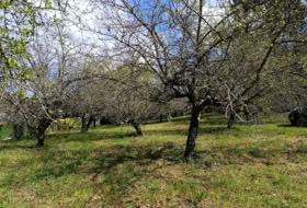 Vila de Cruces 1779&nbsp;m² 