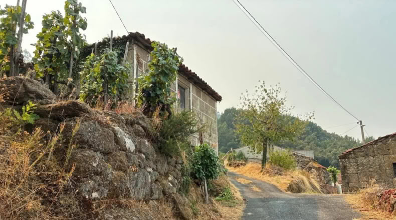 Orense - Nogueira - 200m2