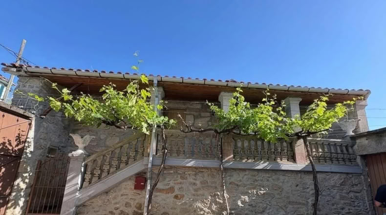 Orense - O Picouto - 300m2