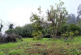 Ortigueira 1600&nbsp;m² 