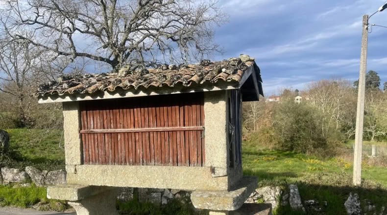Orense - Ourense - 600m2