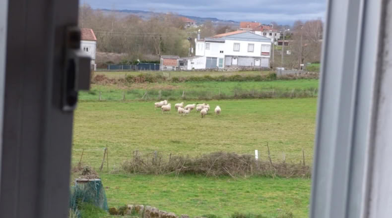 Orense - Xunqueira de Ambía - 100m2