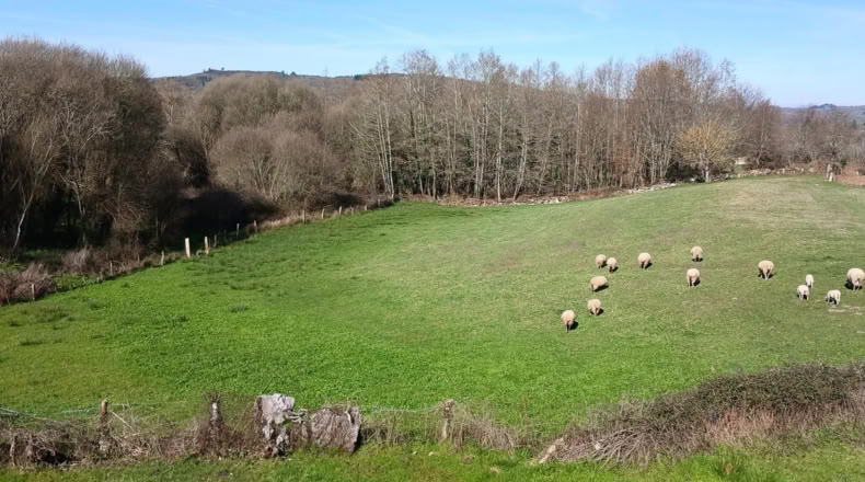 Orense - Xunqueira de Ambía - 100m2