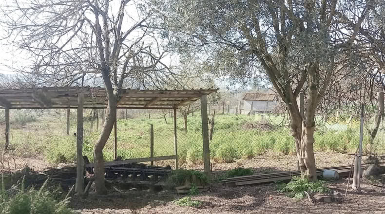 Orense - Dacón - 1000m2