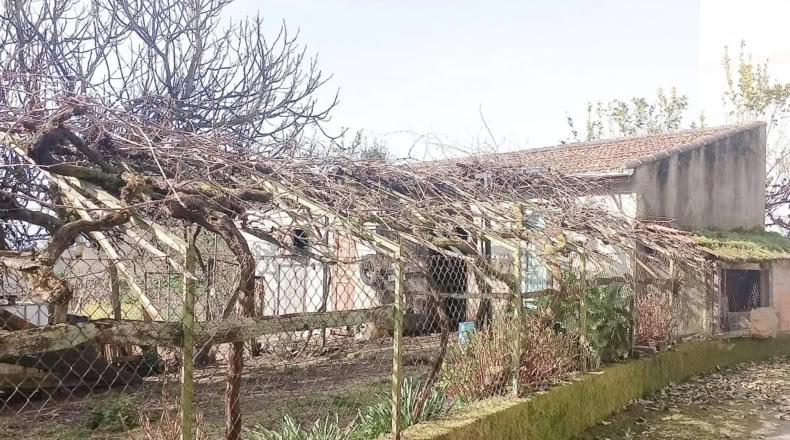 Orense - Dacón - 1000m2