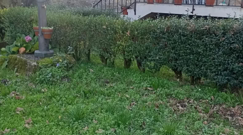 Pontevedra - Rodeiro - 2700m2