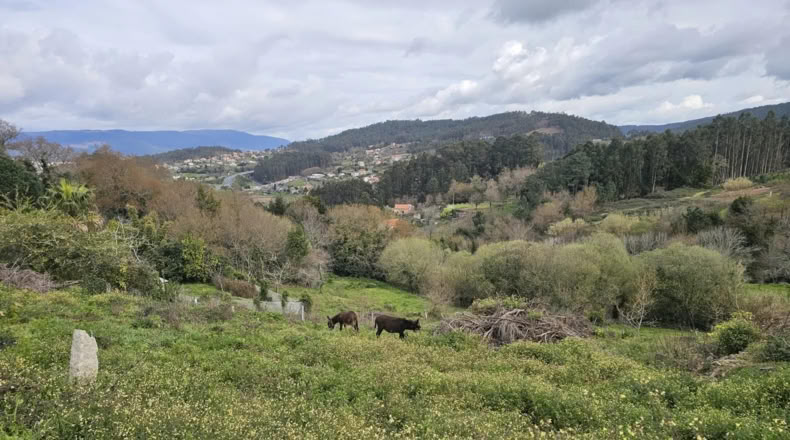 Pontevedra - Marín - 112m2