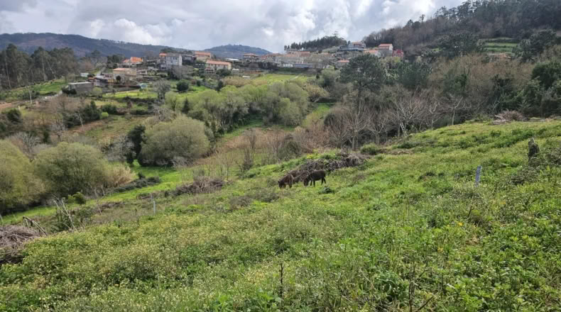 Pontevedra - Marín - 112m2