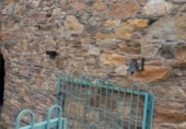 Casa de poble en venda a A Pontenova ref.: TR406794 foto