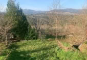 Village house for sale in Ponte Caldelas ref: TR406788 photo