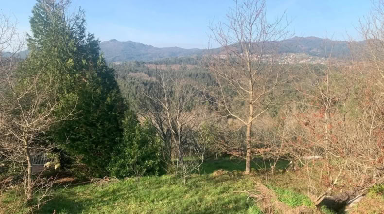 Pontevedra - Ponte Caldelas - 3000m2