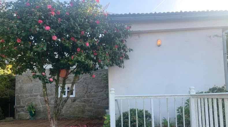 Pontevedra - Ponte Caldelas - 3000m2