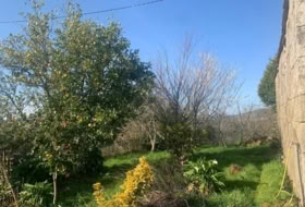 Foto 19