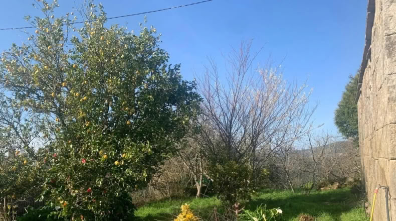 Pontevedra - Ponte Caldelas - 3000m2
