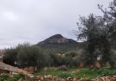 Village house for sale in Helechal ref: TR406736 photo