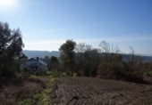 Land suitable for development for sale in Ansimonde ref: TR406886 photo