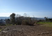 Land suitable for development for sale in Ansimonde ref: TR406886 photo