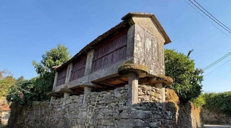 Pontevedra - Santiago de Covelo - 300m2