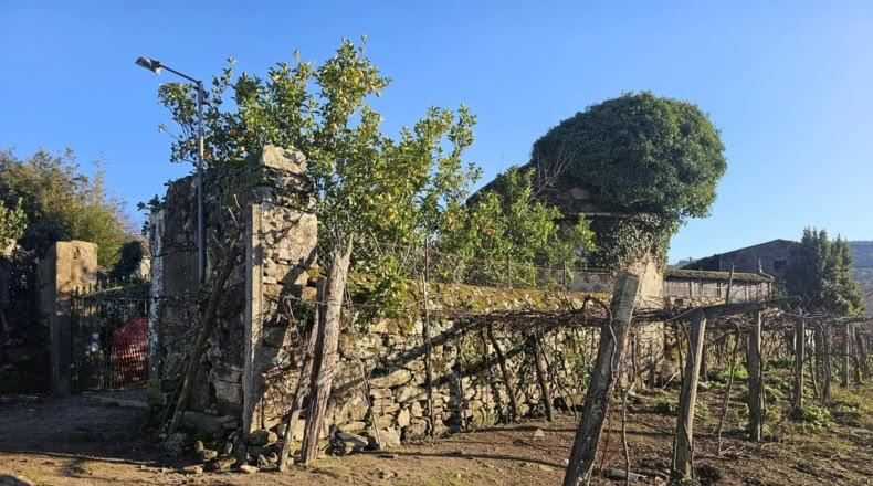 Pontevedra - A Estrada - 10000m2