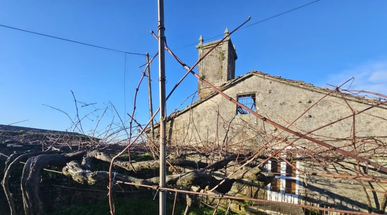 Pontevedra - A Estrada - 10000m2