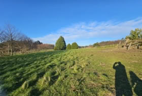 A Estrada 10000&nbsp;m² 