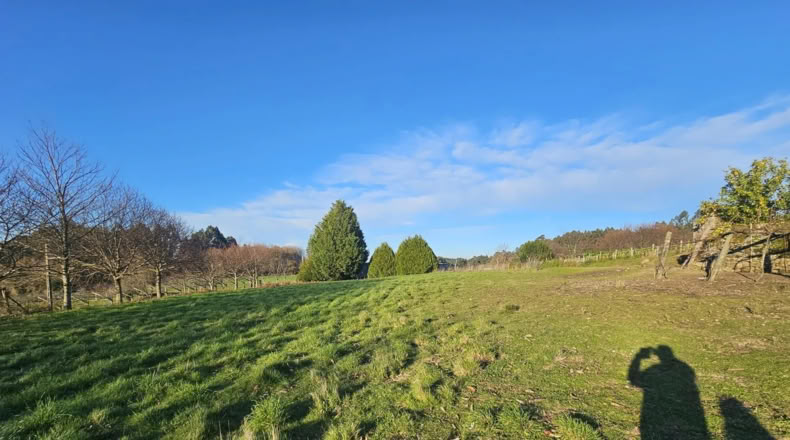 Pontevedra - A Estrada - 10000m2