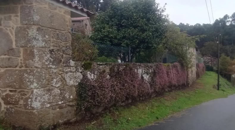 Pontevedra - Pontevedra - 1500m2