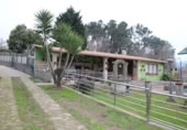 Village house for sale in Mourente ref: TR406727 photo