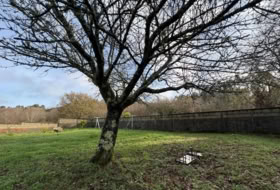 Pontevedra 1000&nbsp;m²