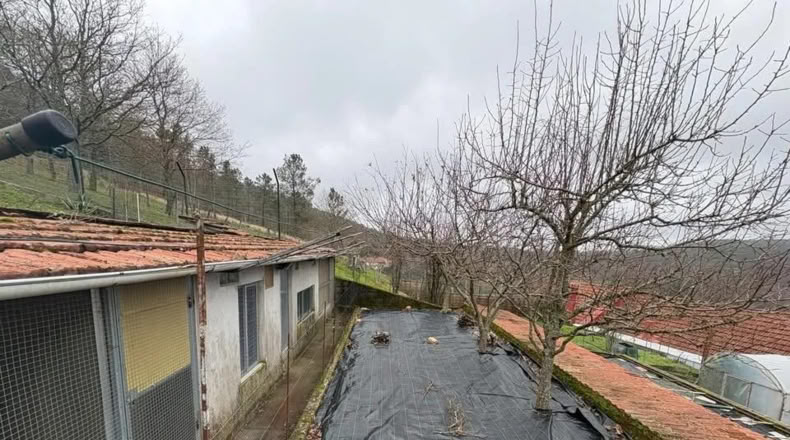 Orense - Beariz - 800m2