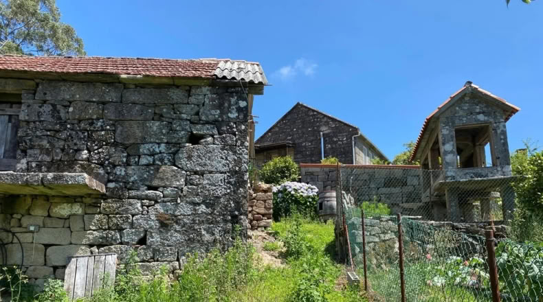 Orense - Ribadavia - 500m2