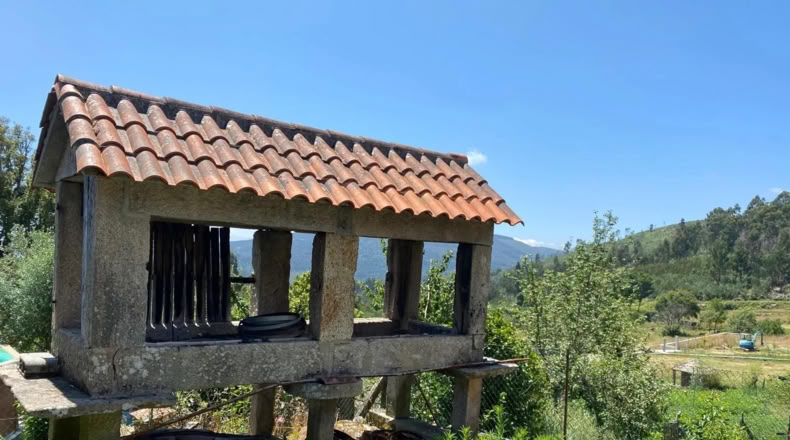 Orense - Ribadavia - 500m2