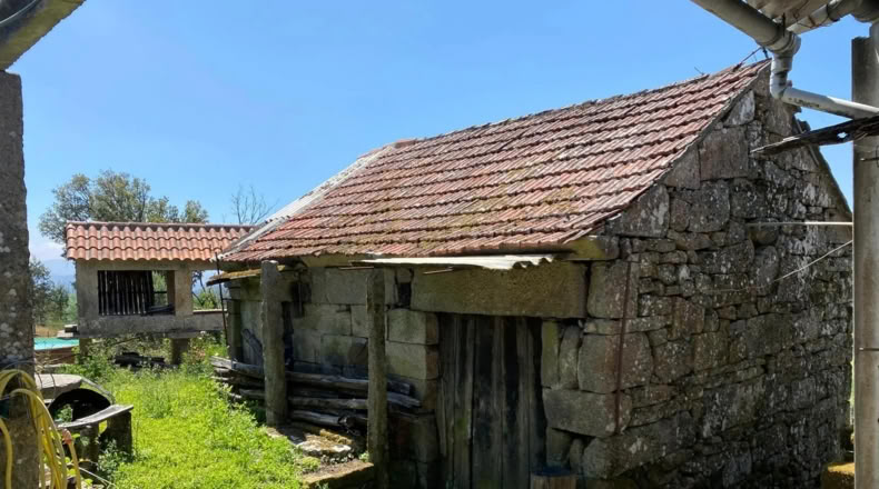 Orense - Ribadavia - 500m2
