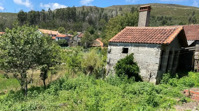 Orense - Ribadavia - 500m2