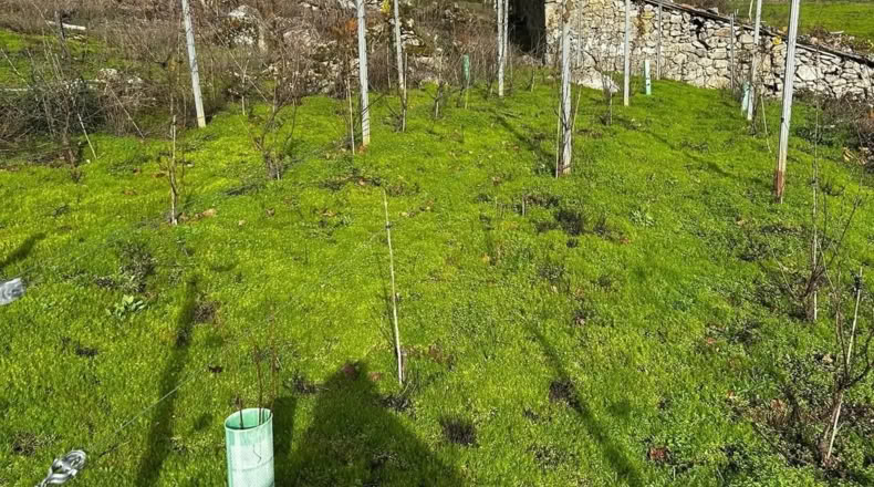 Lugo - Pantón de Abaixo - 2300m2