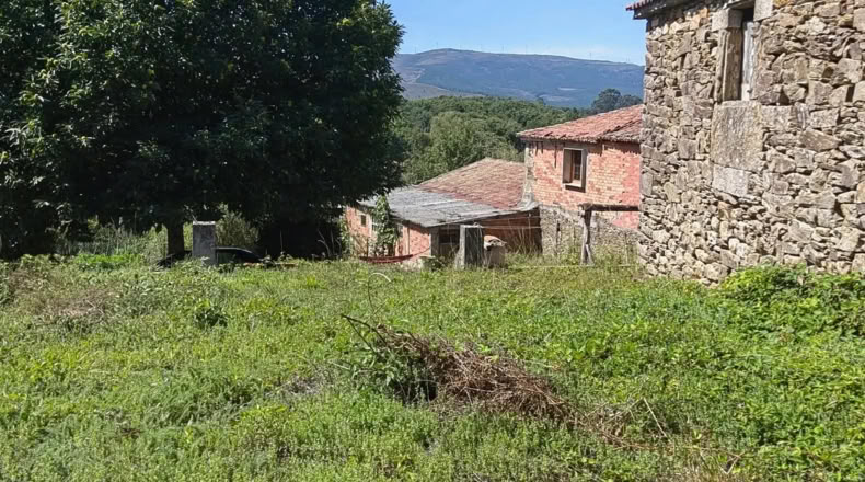 Pontevedra - Lalín - 500m2