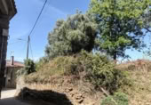 Casa de pueblo en venta en Lalín ref: TR406710 foto