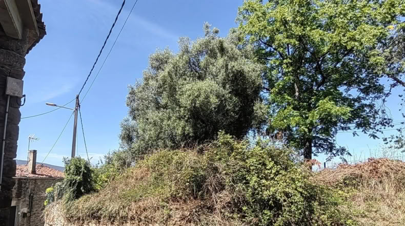 Pontevedra - Lalín - 500m2