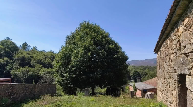 Pontevedra - Lalín - 500m2