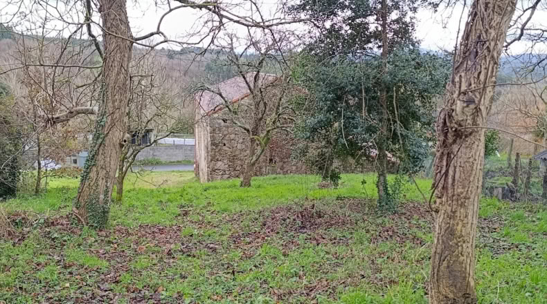 Lugo - Palas de Rey - 715m2