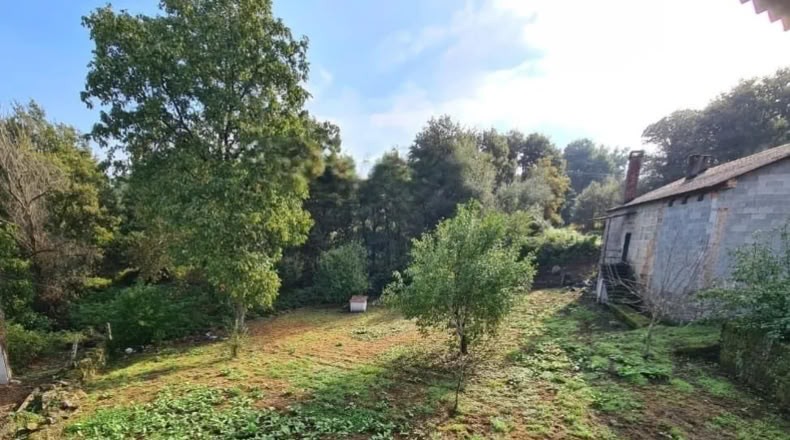 Orense - Ourense - 700m2