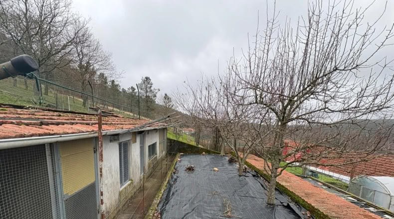 Orense - Beariz - 800m2
